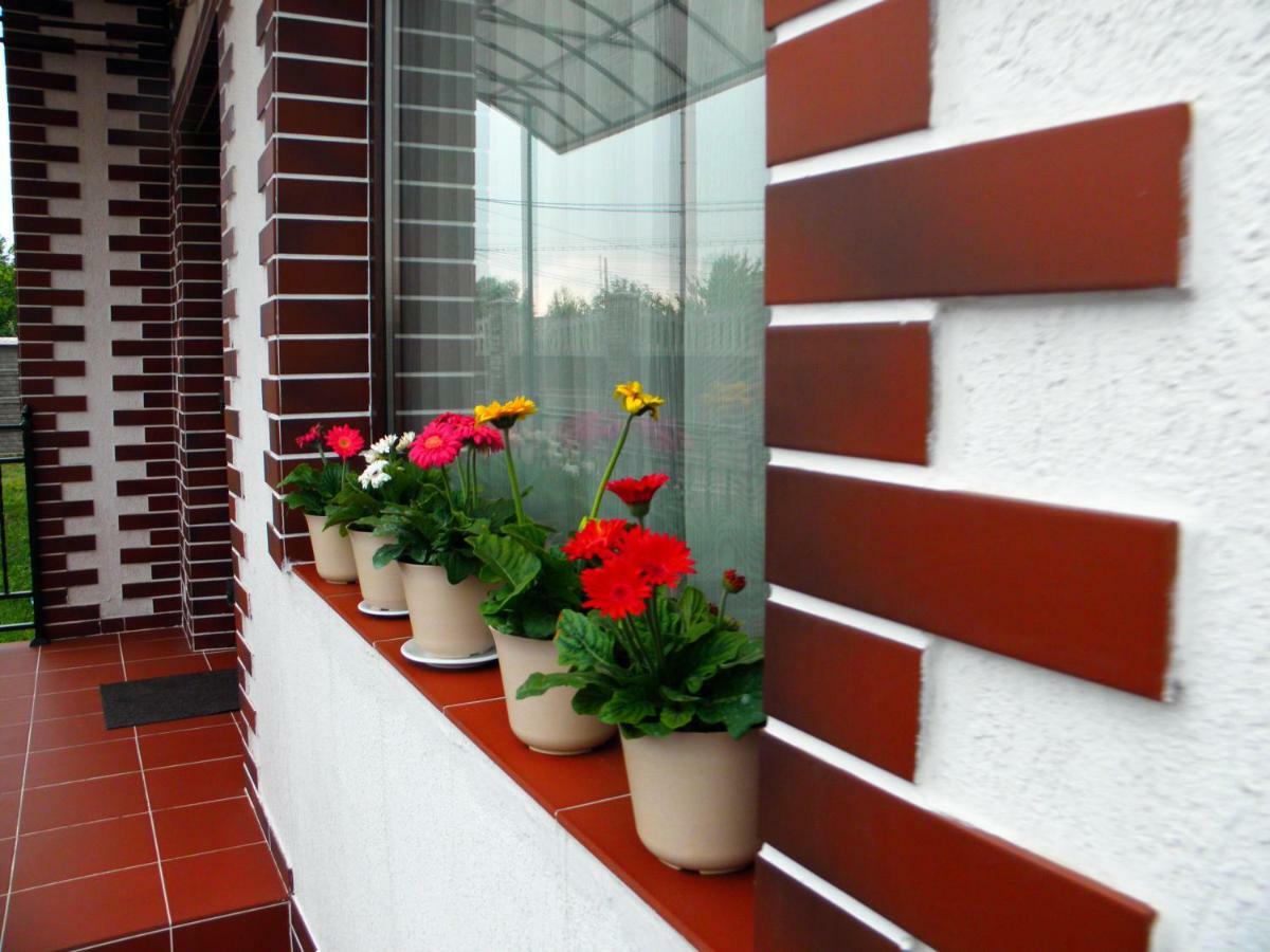 Pensiunea Platinum Targu Jiu Exterior photo